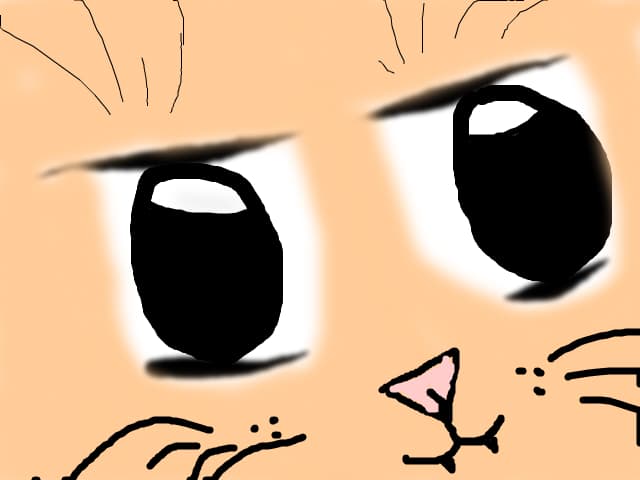 XxRoZexX
