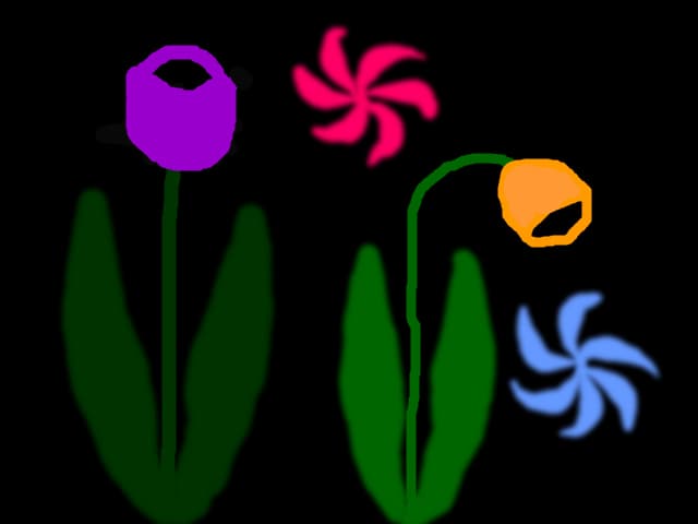 Malynush