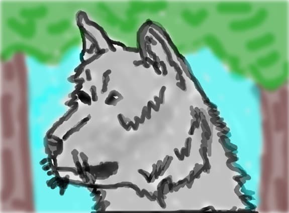 Raresh45