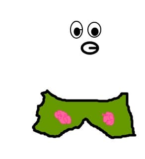 Ciociolina.dese