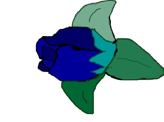 TACIsiASCULTA