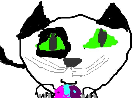 Harperr Dawn