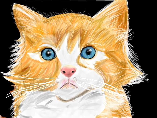 Lmfa