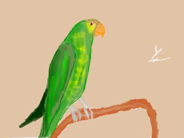 Yuli001