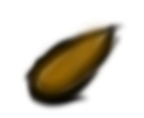 Paularmand