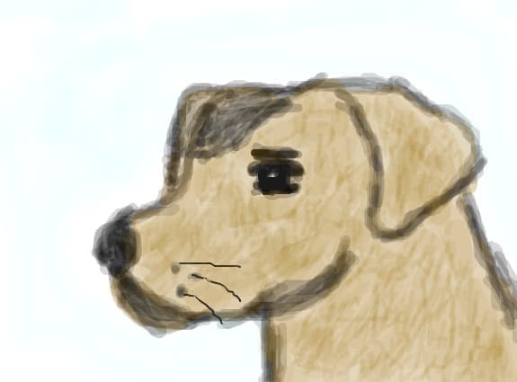 Spiku