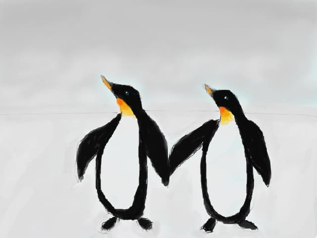 CODRUWEBKINZ