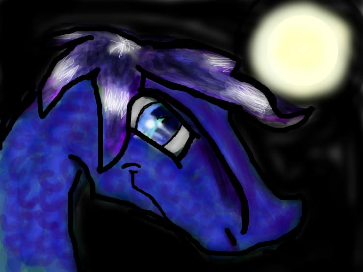 Night sun