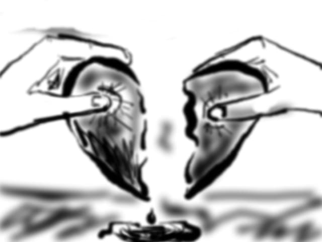 Diaconescu Larisa
