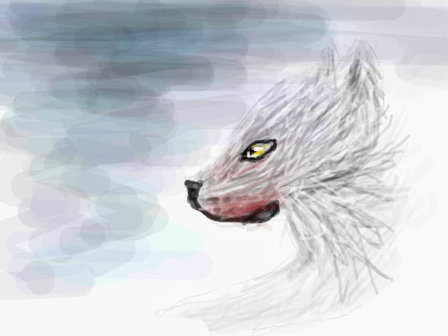 Mereu animale