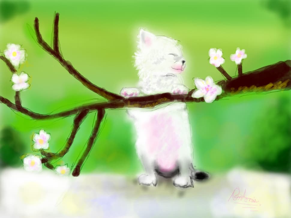 LovelyDog
