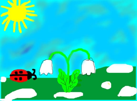 SunnyDay1