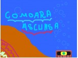 comoara ascunsa