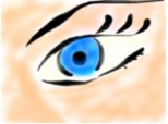 eye