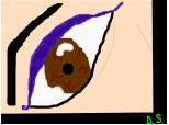 Eye