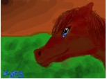 ...when a horse are crying...