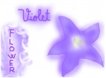 violet flower