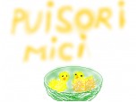 muisori