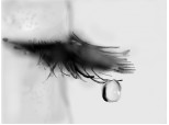 i\'ll cry for you One Single Tear