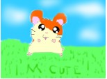 Hamster