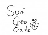 Sunt Corina Enache