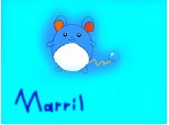 Marril