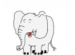 elefant