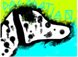 dalmatiawn