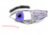 Eye