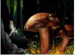 Seria II : Mushrooms invasion