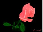 Trandafir x-(, dc viata`i dura cu mn?!? dc numai trandafirii imi ies cat de cat bine?!? :( x-( vreau