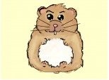 Hamster