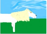 White Horse