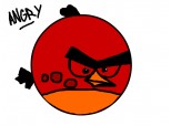 angry bird