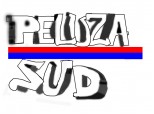 Peluza SUD STEAUA