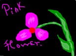 pink flower