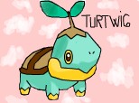 TURTWIG