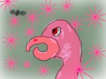 Pink Flamingo