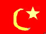 steagul turciei