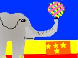 un elefant la circ