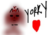 I love yorky