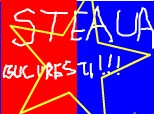 steaua bucuresti!!