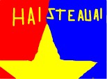 hai STEAUA!