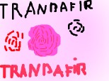 trandafir