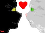 Cats in love