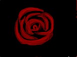 a rose :P