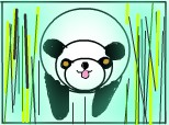 panda