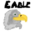 eagle