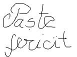 paste fericit