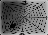 spider